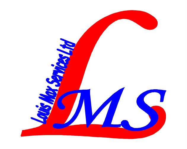 Louis Max Services Logo